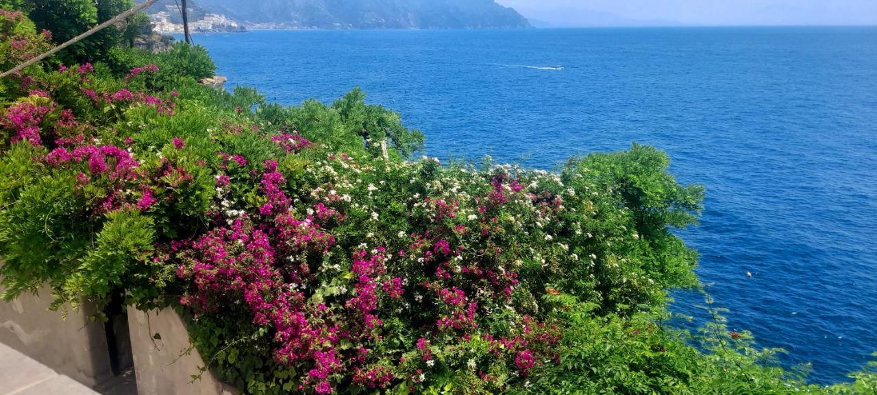 Villa Gianna Amalfi Coast Конка-дей-Марині Екстер'єр фото