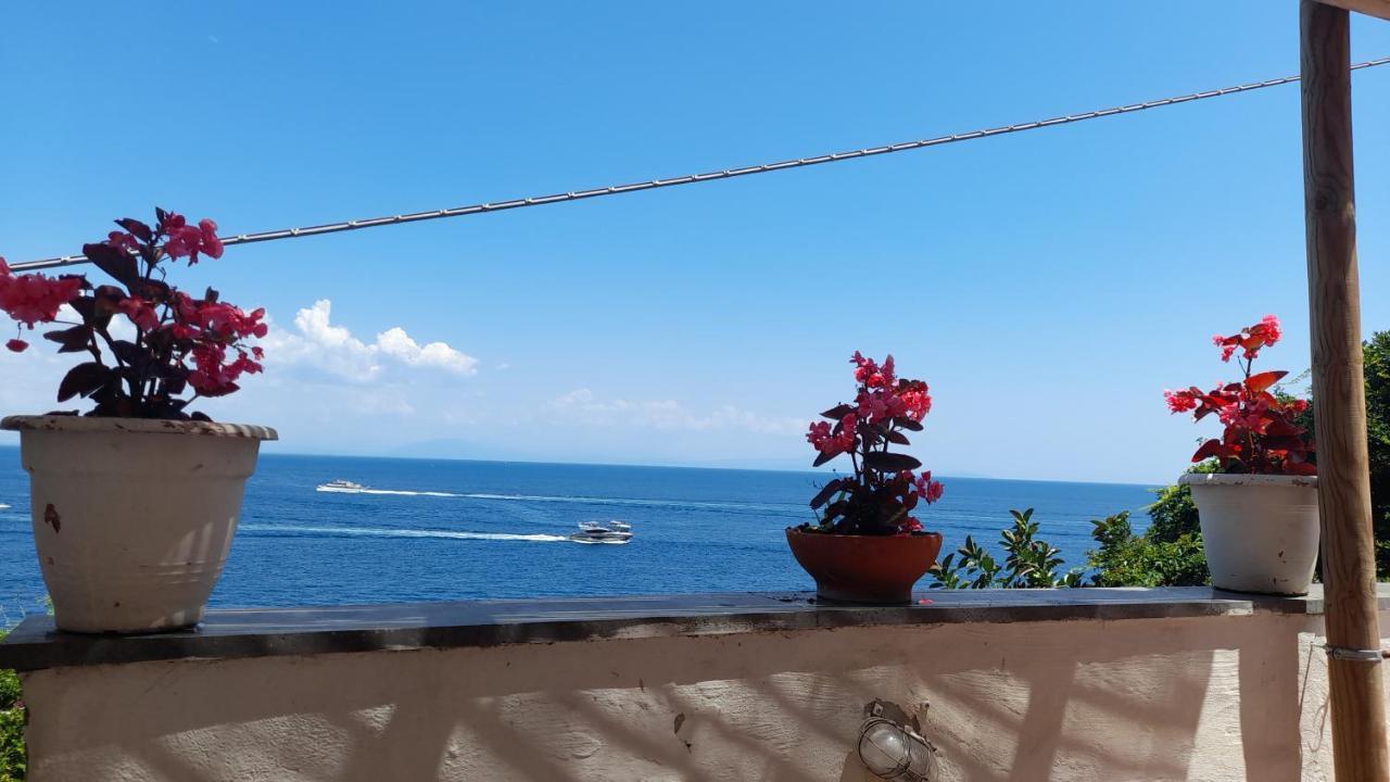 Villa Gianna Amalfi Coast Конка-дей-Марині Екстер'єр фото